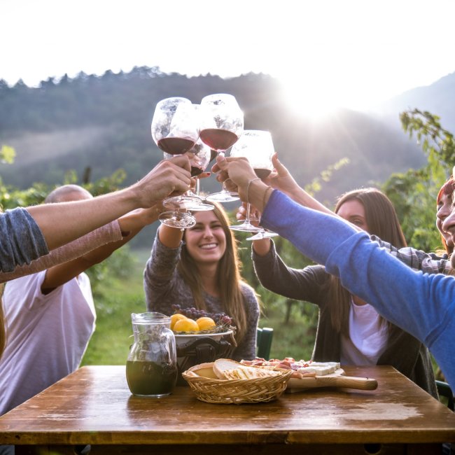 Group of friends at restaurant outdoors - People having dinner in a home garden